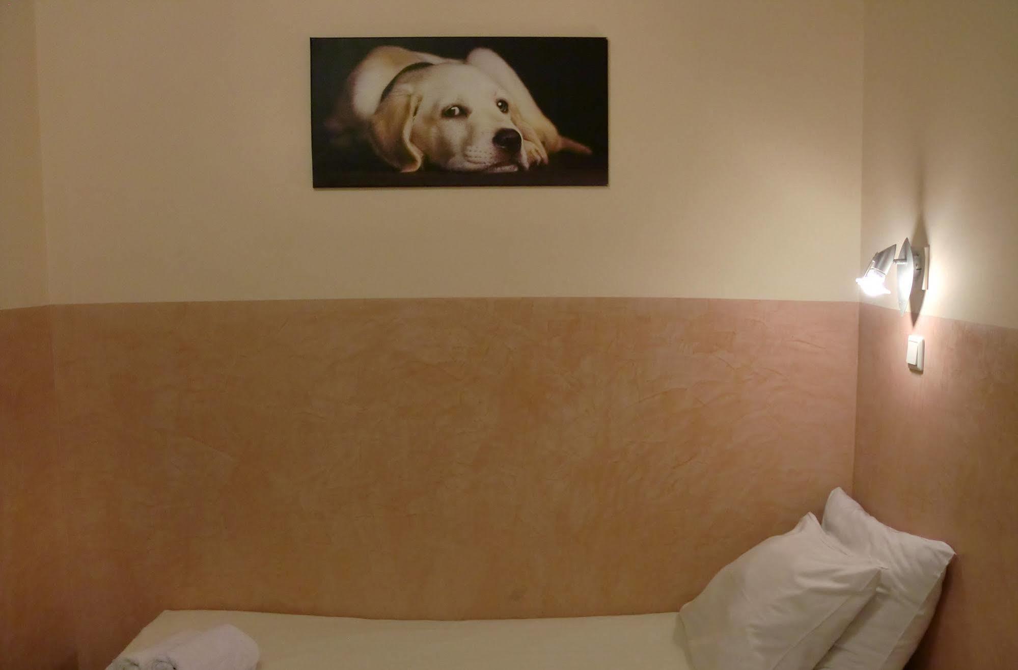 Budget Hotel Neutraal Amsterdam Dış mekan fotoğraf